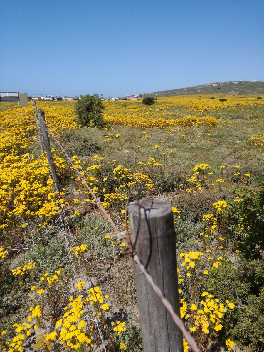 0 Bedroom Property for Sale in Britannica Heights Western Cape